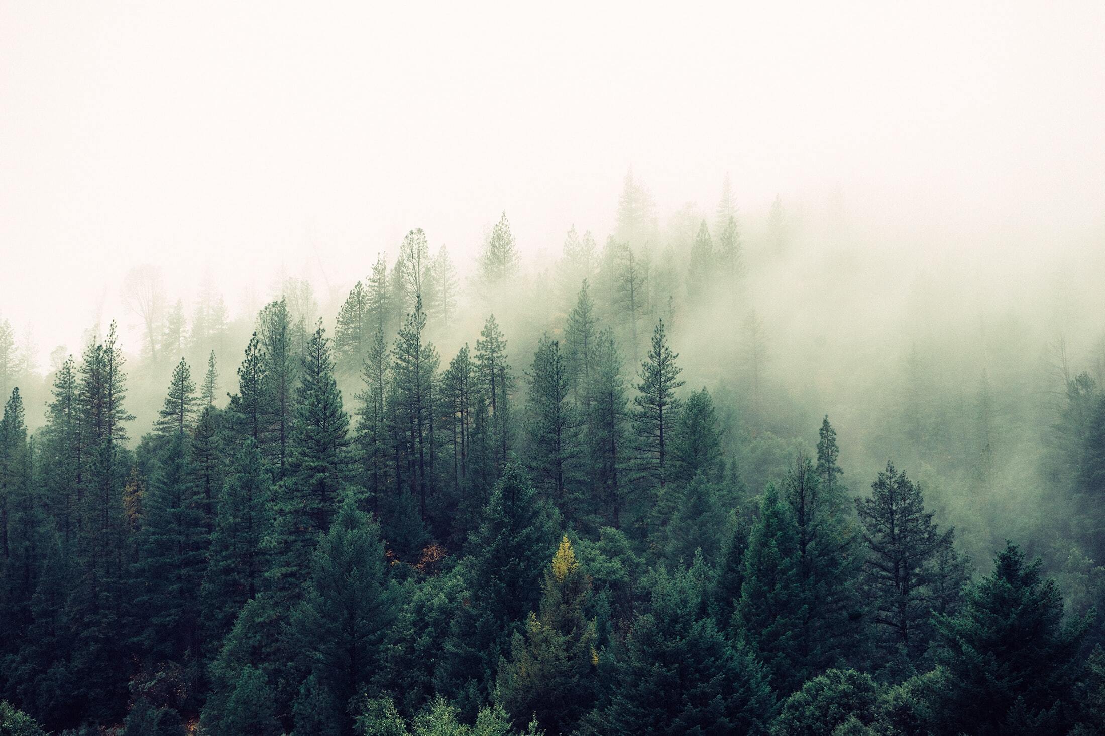 Jay Mantri Tfyi0qox08c Unsplash